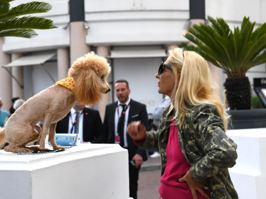dress code du festival de cannes