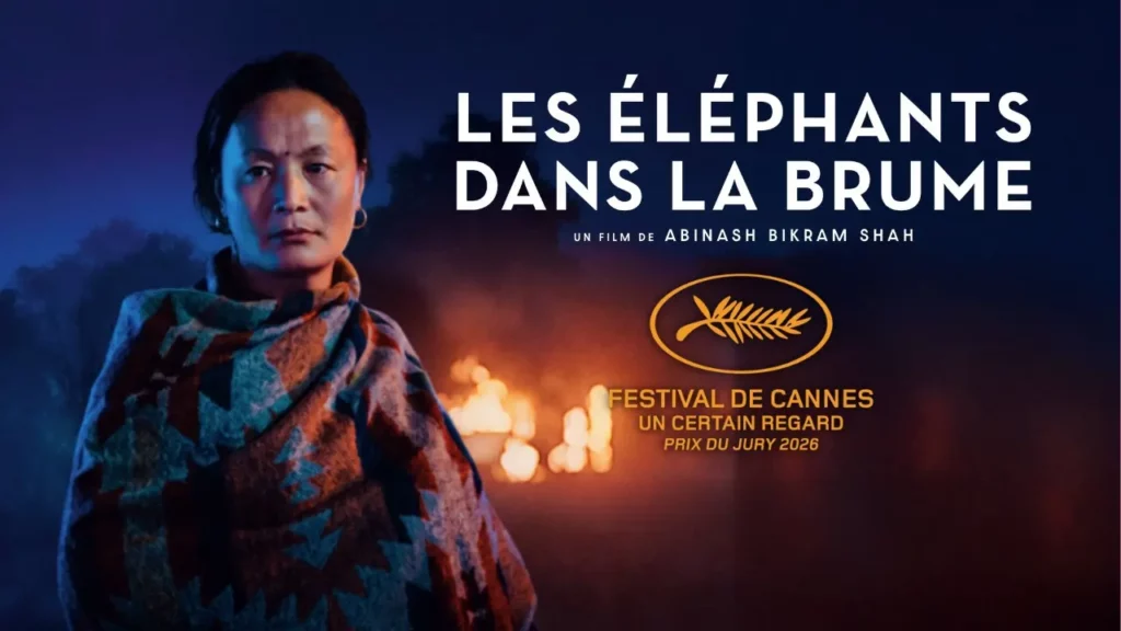 critique Les éléphants dans la brume