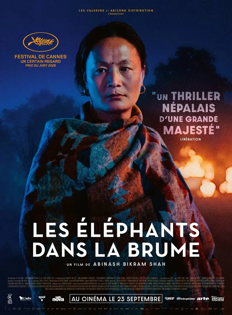 critique Les éléphants dans la brume